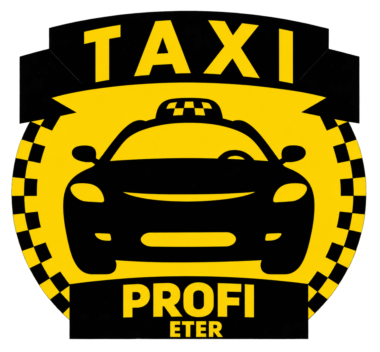 Profi Taxi Ub logo